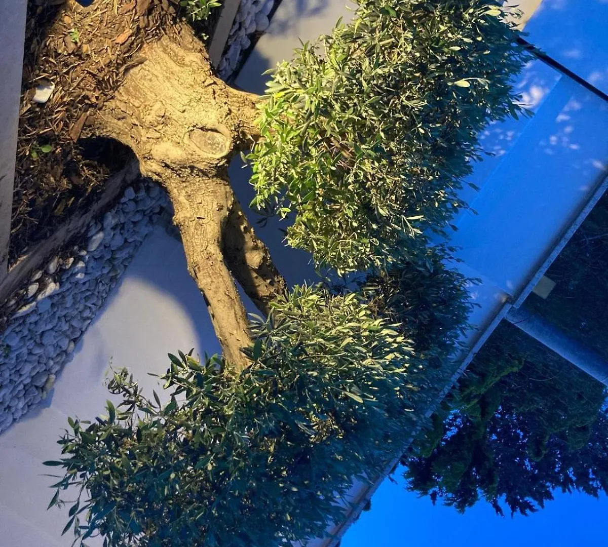 Villa Dei Cedri Garden Apartment Bari Italië